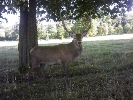 Etape du tour d'Igny en v�lo 